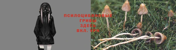 mdpv Зерноград