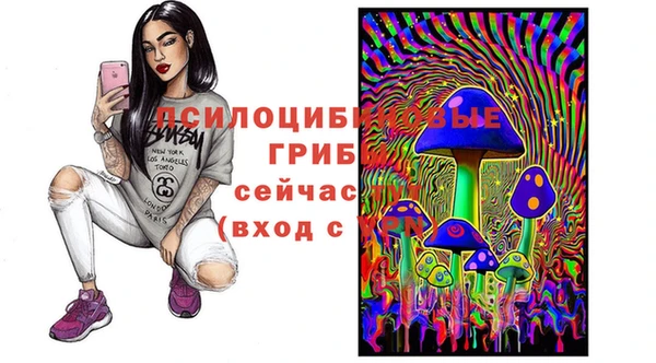 тгк Семёнов