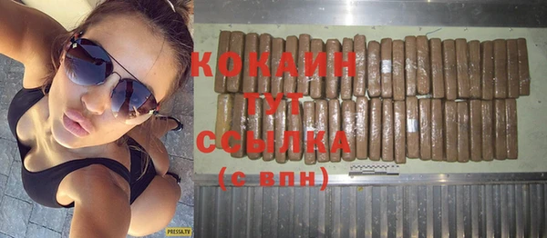 тгк Семёнов