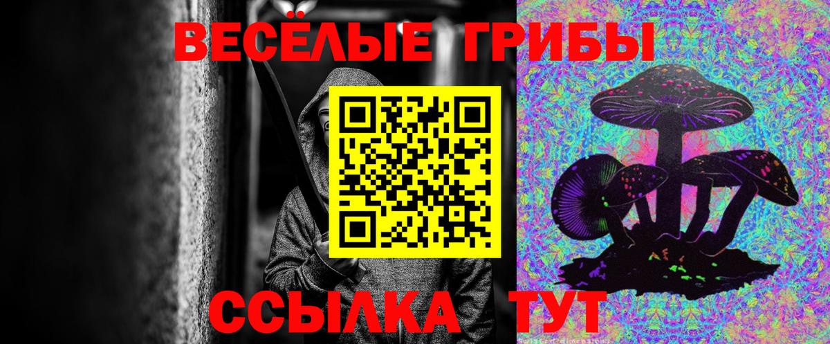 Галлюциногенные грибы Cubensis  Галлюциногенные грибы мицелий  Сибай 